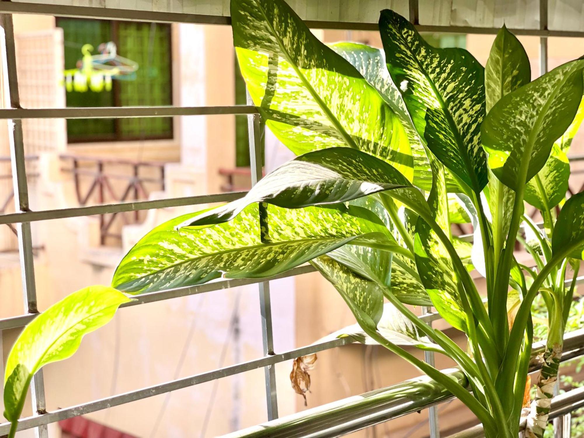 Sky Hotel Central Phnom Penh - Rooms & Apartments Εξωτερικό φωτογραφία